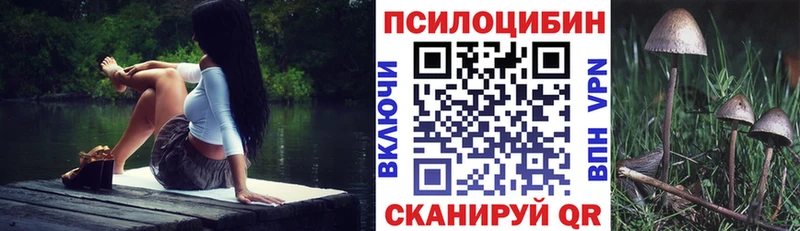 Галлюциногенные грибы MAGIC MUSHROOMS  купить   Рассказово 